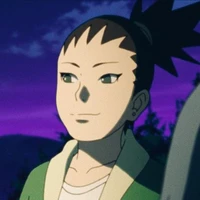 Nara Shikadai