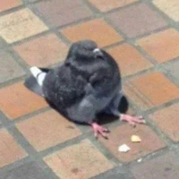 (. ❛ ᴗ ❛.)