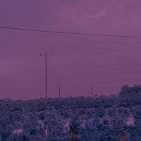 All