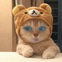 Sam