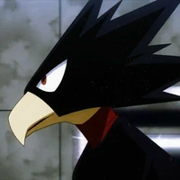 Tokoyami Fumikage