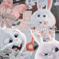 Pi-Ni cả 2 hệ thống