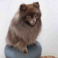 Kuma
