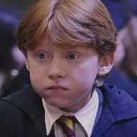 Ron 🍗