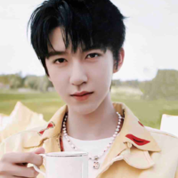 Hạ Tuấn Lâm 