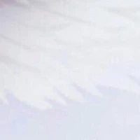 ?????