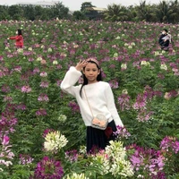 Suri