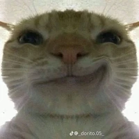 𝕳𝖆𝖓𝖆ఌ︎