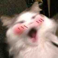 Cả lớp