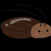 Gián hóng chuyện tìnk củm của Jayki