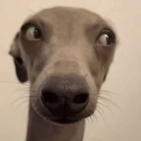 Tra