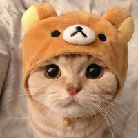 người xả ảnh cute