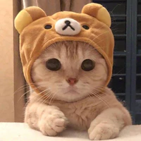 Tác giả