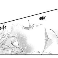 Ara Ara (t/g)