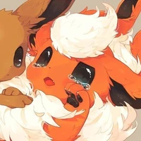 ♂️Booster(Flareon)