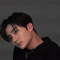 Park Gemini