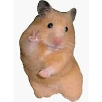thèng em tác giả:)
