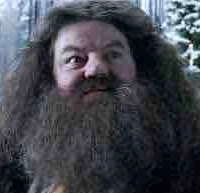 Rubeus Hagrid