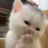 tg