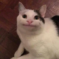 tác giả điên khùng