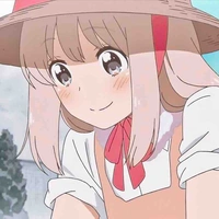 Y/N