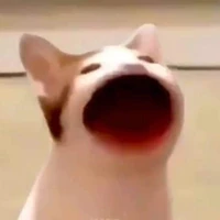 lũ bắt cóc mất dạy tao nhai đầu hết^^