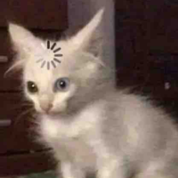 ???