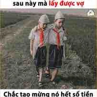 Nv phụ