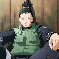 Nara Shikamaru | 30 |