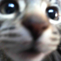 All
