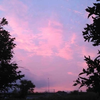 Đa nhân vật