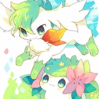 Minmin