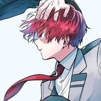 Shoto Todoroki