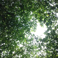 Tập thể 12a1