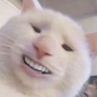 Độc giả:Bánh tráng🐸