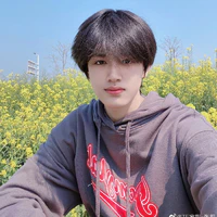Trương Cực