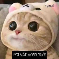 lũ bạn của nu9