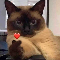 Lê Thị Tác giả