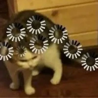 tg có hứng thì khùng =))