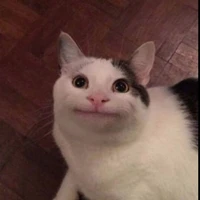 nvh : quên mẹ rồi