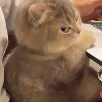 Con tác giả bị mất nick :))