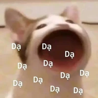 Tìn cát xê 5 tỉ