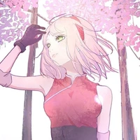 Sakura