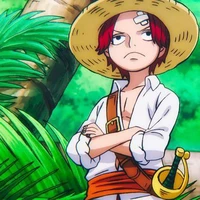 Shanks