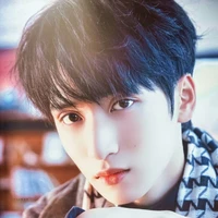 Nghiêm Hạo Tường