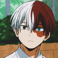 Shoto Todoruki