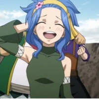levy 