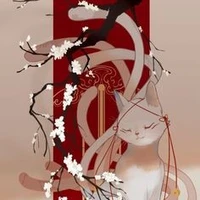 Coki ( Hệ Thống )