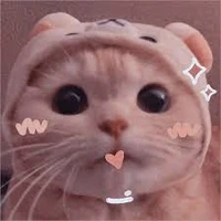 Chủ tus cute phô mai que