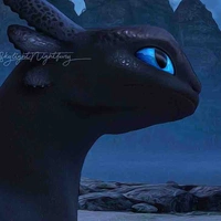Night fury 